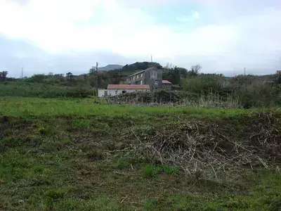 DSC03926