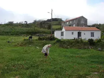 DSC03935