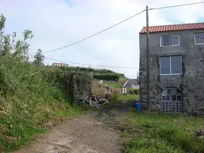 DSC03952