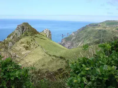 DSC03999