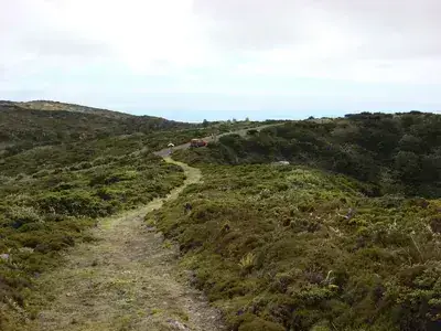 DSC04032