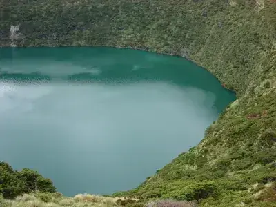 DSC04037