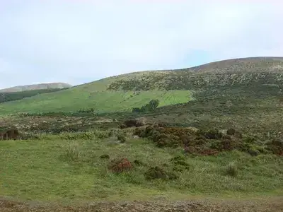 DSC04039