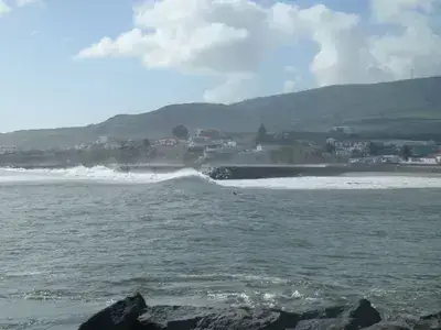 PB260086