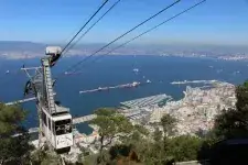Gib23