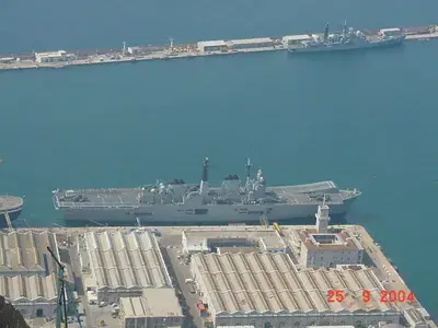Gib31
