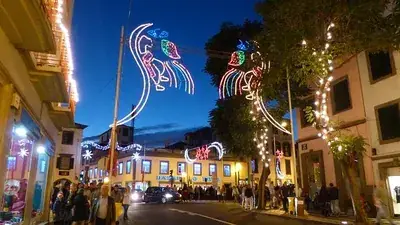 madeira-244419__340