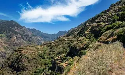 nature-6778064__340