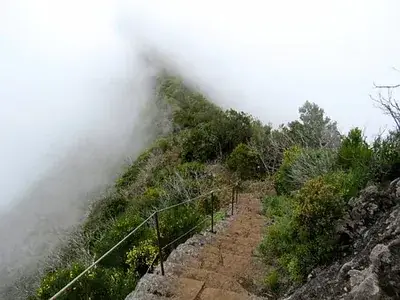 the-fog-2747599__340